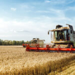 Vente d’entreprise agricole : le statut, ça compte !