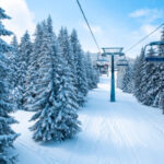 Règle de taxation sur les camions pick-up : ça dépend…