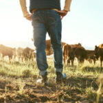 Agriculture : un début d’année 2024 dense