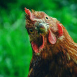 C’est l’histoire d’un artisan face à son client… et son fournisseur…