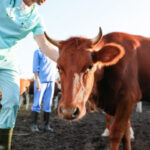 Renouvellement des titres de séjour : quelles nouveautés ?