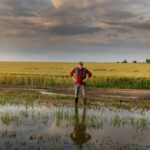 Guadeloupe, Martinique : une exonération d’octroi de mer pour certains croisiéristes