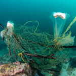 Imagerie médicale : nouveaux tarifs