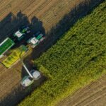 Bail rural : payer ses fermages en fonction de ses récoltes ?