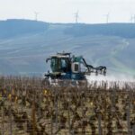 Certiphytos : une durée de validité prorogée d’un an ?