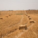 C’est l’histoire d’un propriétaire qui prend son temps pour vendre sa résidence principale…