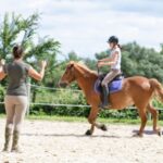 Activités équestres et TVA à 5,5 % : des précisions !
