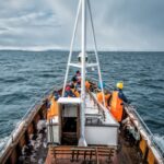 Réduction d’impôt pour souscription au capital d’une JEI : du nouveau concernant les obligations déclaratives