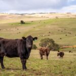 Impôt sur le revenu : où se trouve le centre de vos intérêts économiques ?