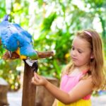 Parcs zoologiques : vers une fin du taux réduit de TVA ?