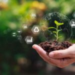 Agriculture : aides financières et respect de l’environnement