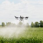 Secteur agricole : l’utilisation de drones autorisée pour l’épandage ?