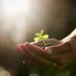 C’est l’histoire d’un particulier qui estime que son assurance-vie, c’est une affaire personnelle…