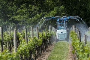 Produits phytopharmaceutiques : faciliter la lutte contre certaines maladies