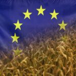 C’est l’histoire d’un employeur qui ne plaisante pas avec la sécurité…