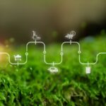 Fraude aux faux mails CARSAT : redoublez de vigilance !