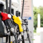 Bien-être animal : une réglementation détaillée