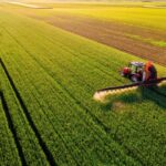 Vente transfontalière : quelle est la loi applicable ?