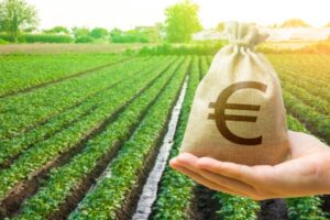 Taxe foncière sur les terres agricoles : une exonération déjà en hausse ?