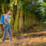 Gérants de SARL : quand les remboursements de frais font débat !