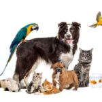 TESE et CEA : bientôt possible pour une partie des salariés seulement