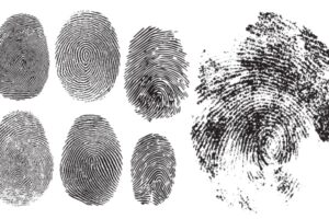 Casier judiciaire et empreintes digitales : quelques nouveautés…