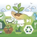 Aide, accompagnement et services autonomie à domicile : quels prix pour 2026 ?