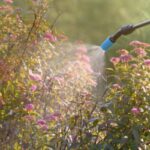 Produits phytosanitaires : réduction et contrôle de leur utilisation