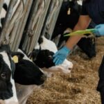 C’est l’histoire d’une petite-fille qui hérite de la holding de sa grand-mère…