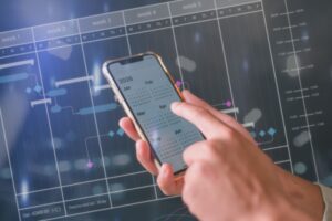 DSN de substitution : des précisions