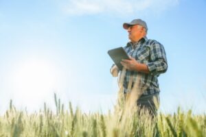 Retraite agricole : le point RCO revalorisé en 2025