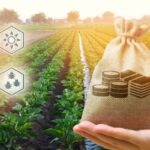 Agriculture à Saint-Pierre-et-Miquelon : une aide à l’installation possible