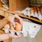 Commercialisation des œufs : précisions pour le marché français