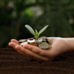 Politique agricole commune : évolutions concernant l’éligibilité aux aides financières