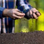 Produits fertilisants : une définition commune des usages
