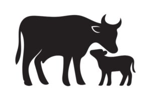Secteur agricole : le point sur les aides en juin 2026