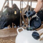 Insémination artificielle : harmonisation des démarches