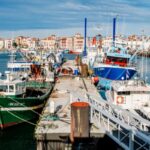 Retour de pêche : des obligations déclaratives à respecter