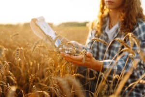 Non-salariés agricoles : des nouvelles règles sociales précisées