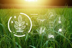 BCAE : une dérogation pour s’adapter au climat