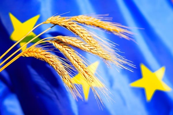Bonnes conditions agricoles et environnementales : une nouvelle définition de la haie